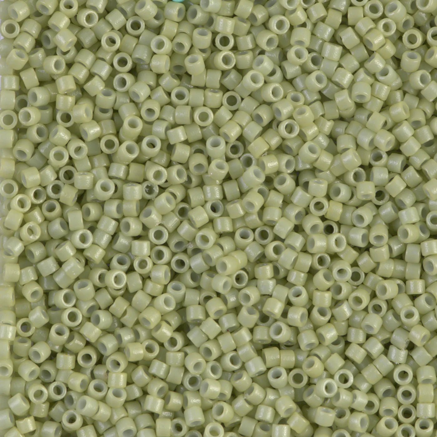 MIYUKI Delica Beads 11/0 #DB2123 - BEADIFUL